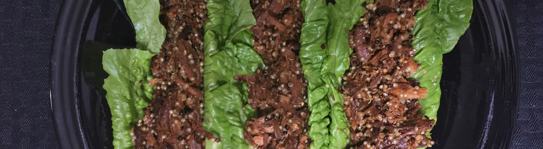 Teriyaki Pulled Pork Lettuce Wraps
