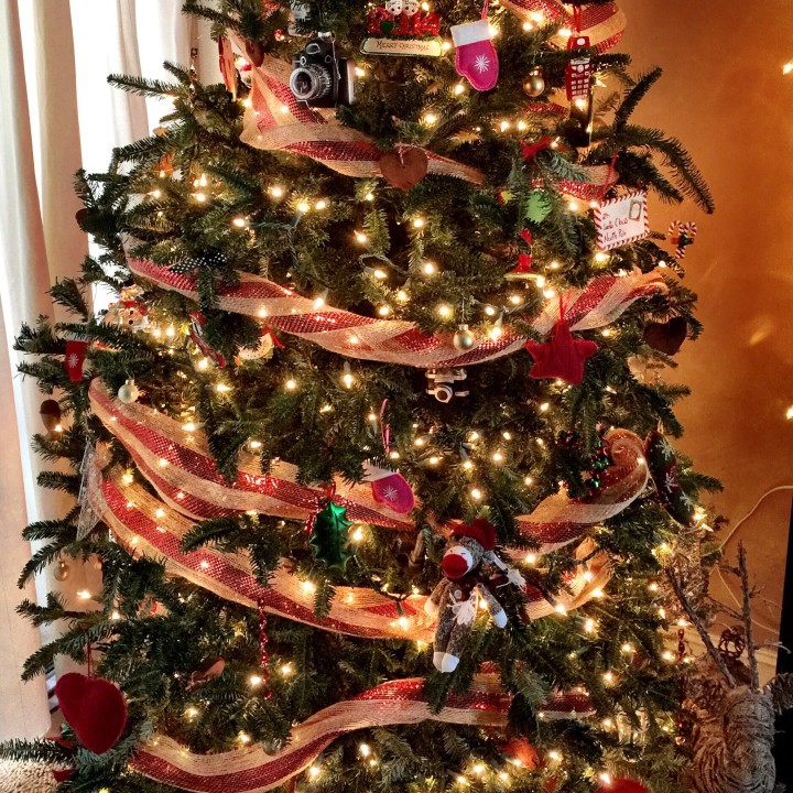 December 1: Tree