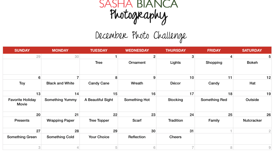 December Photo Challenge 
