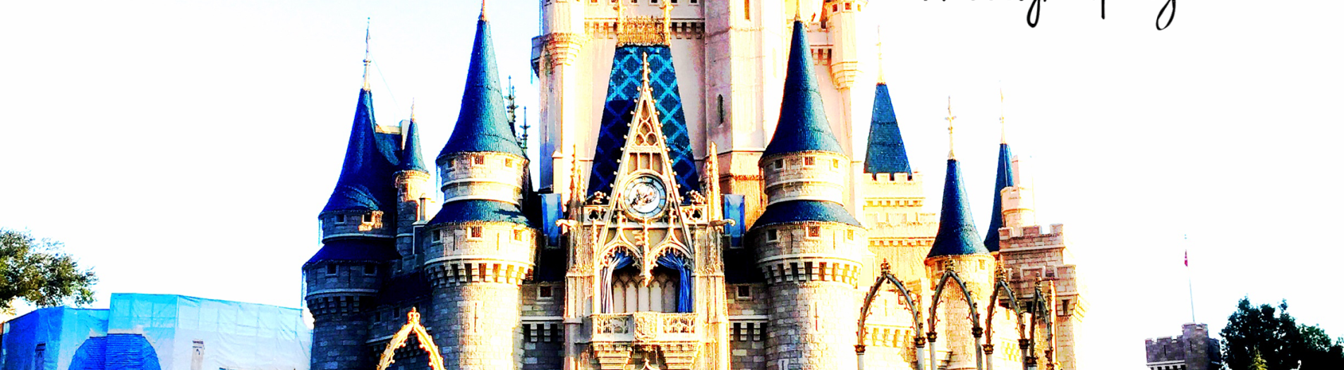 Cinderella's Castle! 
