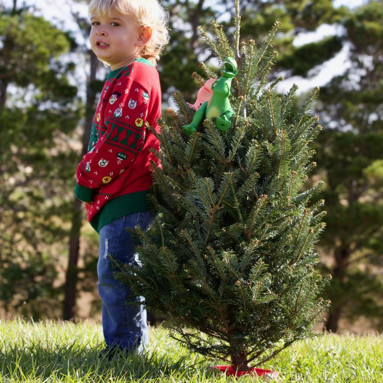 Sasha Bianca Photography Clermont Florida Faith Based Photographer