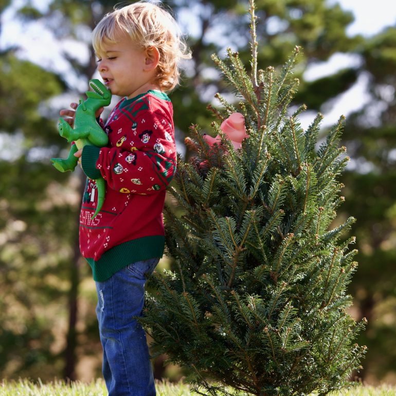 Sasha Bianca Photography Clermont Florida Faith Based Photographer