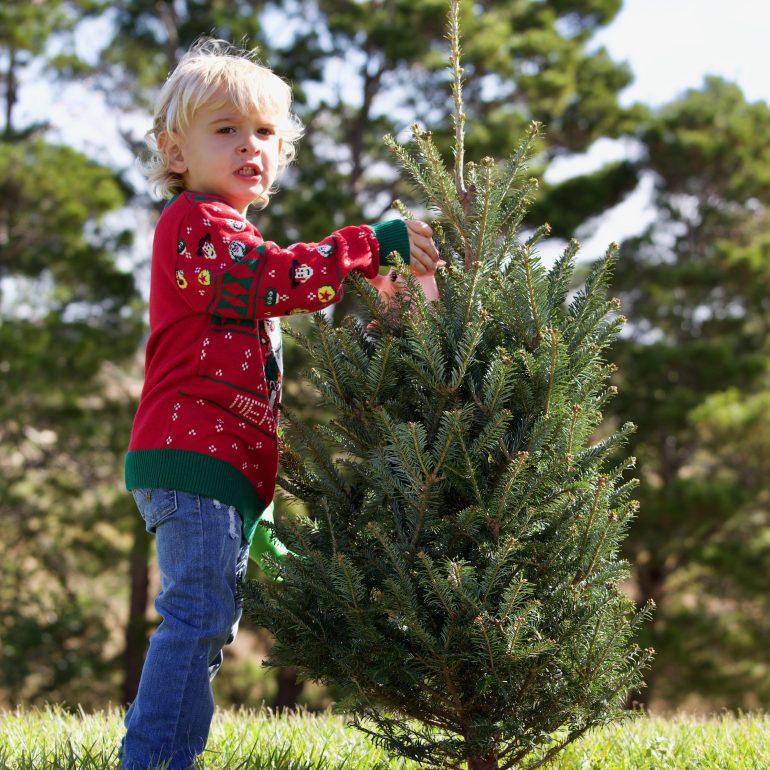 Sasha Bianca Photography Clermont Florida Faith Based Photographer